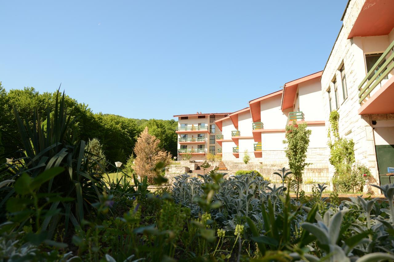 Park Hotel Ribaritsa Bagian luar foto